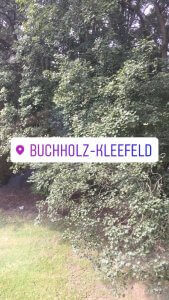 Instagram-Geofilter für den Stadtteil Buchholz-Kleefeld
